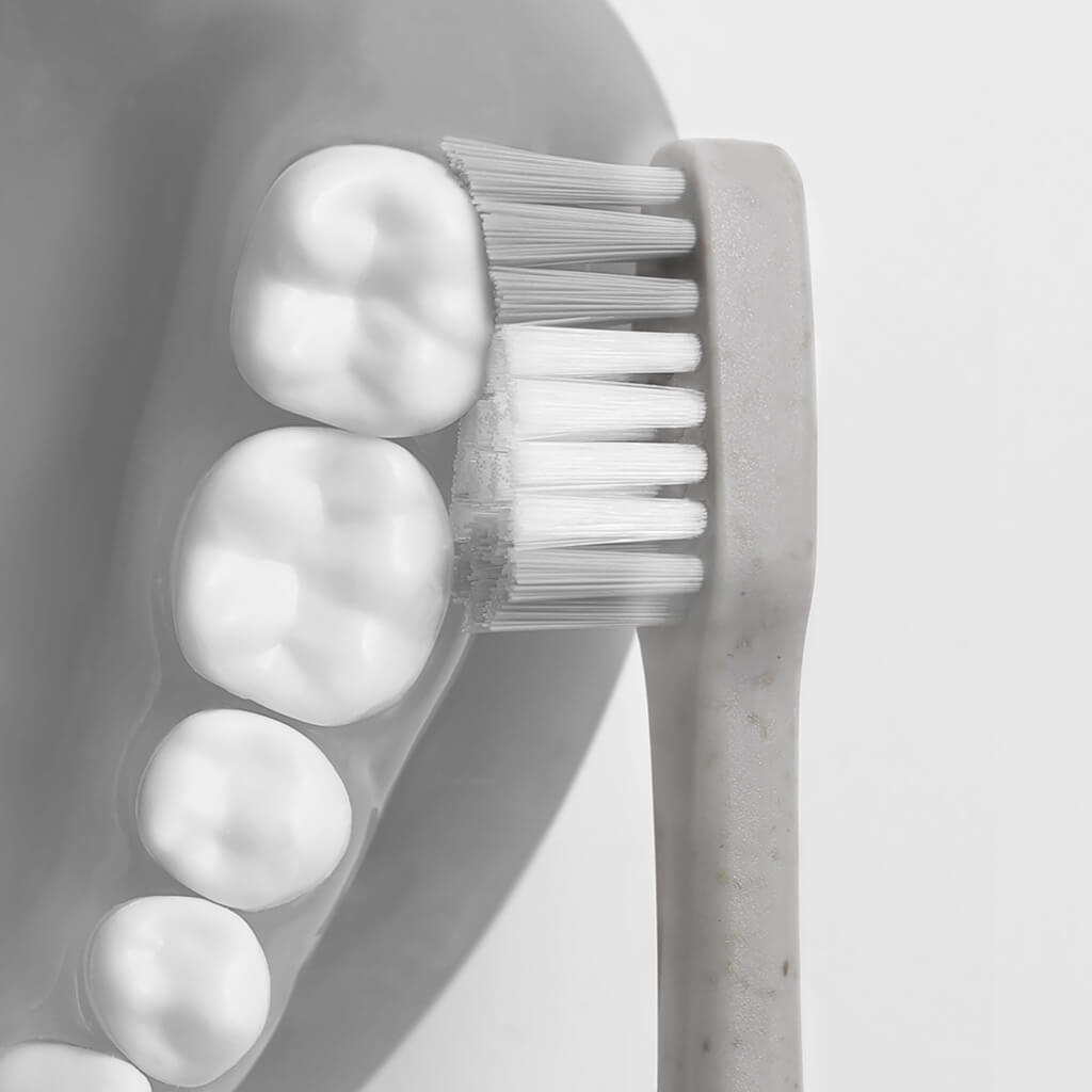 MARNA fit toothbrush curved bristle