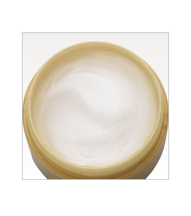 Hada Labo Gokujyun Perfect Gel