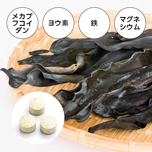 FINE JAPAN Экстракт ламинарии с минералами и фукоиданом, 50 дней